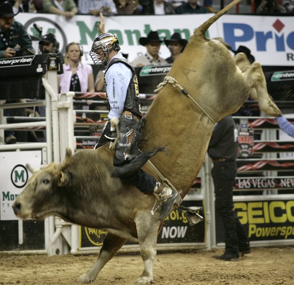 Bull riding at the final round of the PBR World ...