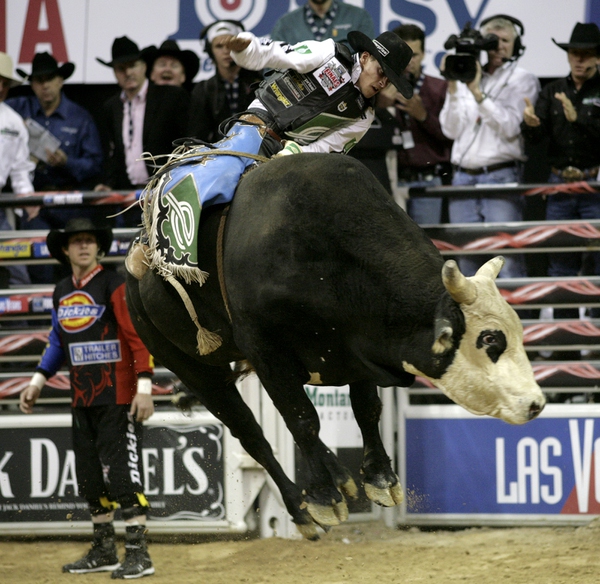 Bull riding at the final round of the PBR World ...