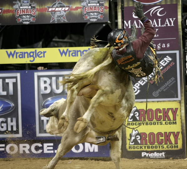 Bull riding at the final round of the PBR World ...