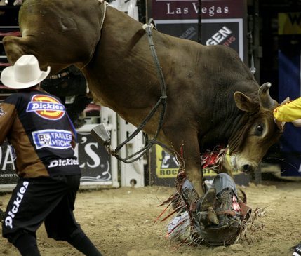 Bull riding at the final round of the PBR World Finals at the Thomas and Mack Center Sunday.  