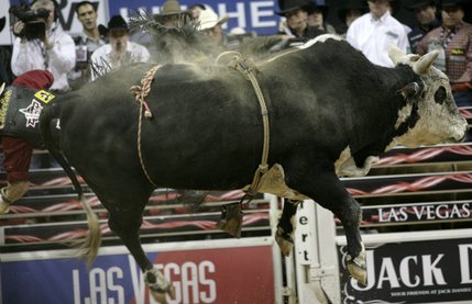 Bull riding at the final round of the PBR World Finals at the Thomas and Mack Center Sunday.  