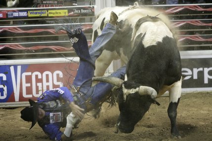 Bull riding at the final round of the PBR World Finals at the Thomas and Mack Center Sunday.  