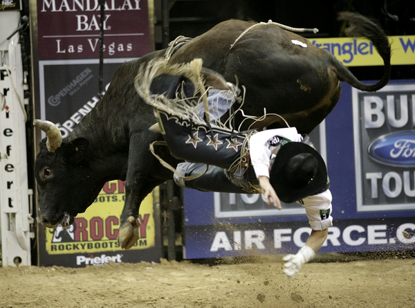 Bull riding at the final round of the PBR World ...