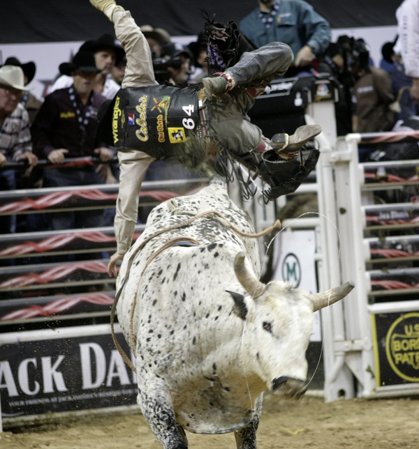 Bull riding at the final round of the PBR World ...
