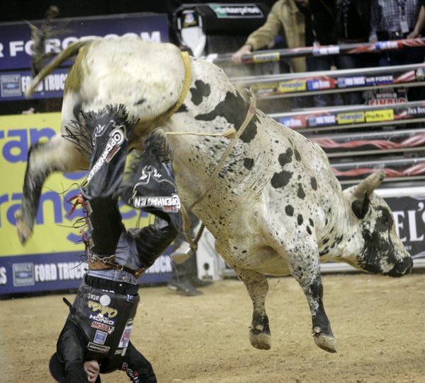Bull riding at the final round of the PBR World ...