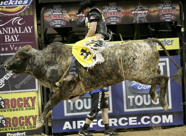 Bull riding at the final round of the PBR World ...