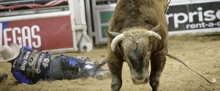 Bull riding at the final round of the PBR World Finals at the Thomas and Mack Center Sunday.  