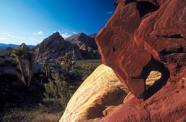 
The colorful sandstone formations near Whitney Pockets in Gold Butte entice visitors to camp and explore. 
