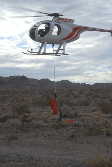 A Quicksilver helicopter pilot lowers bighorn sheep to the awaiting ...
