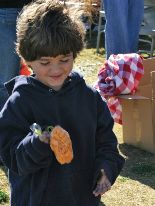 Aidan Grodin, 5, admires the prize he picked after his success during one of the many games at Goolsby Elementary School's Fall Festival.