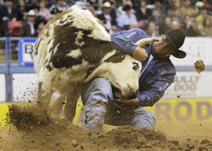 Gabe Ledoux, of Kaplan, La., competes during the first go-round of steer wrestling at the National Finals Rodeo at the Thomas & Mack Center in Las Vegas, Thursday, Dec. 4, 2008.