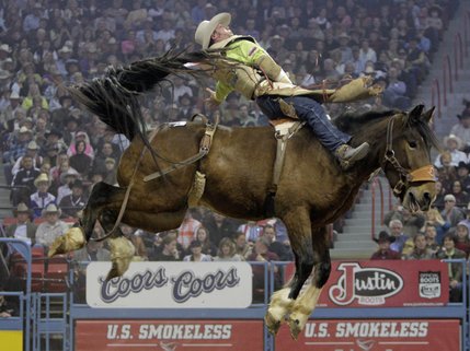 Chris Harris, of Itasca, Texas, competes during the first go-round of bareback riding at the National Finals Rodeo at the Thomas & Mack Center in Las Vegas, Thursday, Dec. 4, 2008.