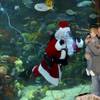 Rocky Savio lifts his two-year-old son, Andy, up to the aquarium glass encouraging him to say hello to Santa Claus, who is equipped with microphone and earpiece, as he swims with the tropical fish inside the aquarium at the Silverton Casino Lodge Dec. 6, 2008.