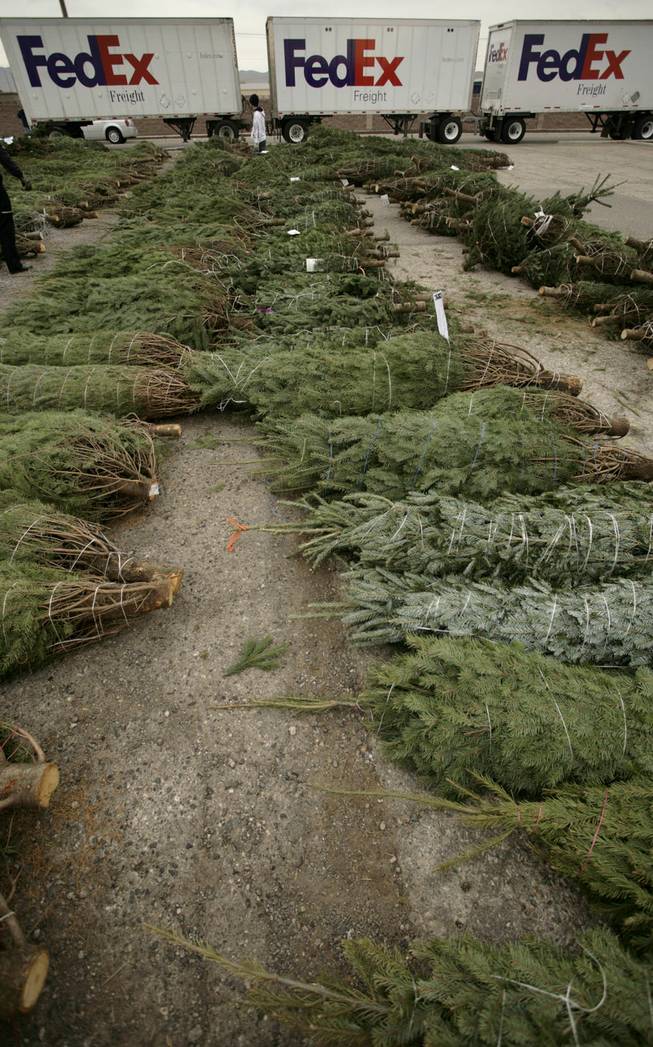 The "Trees for Troops" program, sponsored by FedEx and the Christmas SPIRIT Foundation, delivered 750 trees Friday to Nellis  Air Force Base.