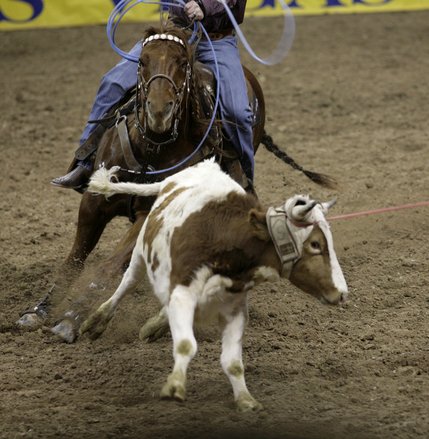 Scenes from Saturday night's action of the 50th anniversary of NFR at the Thomas & Mack Center.