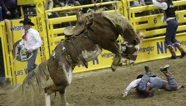 Scenes from Saturday night's action of the 50th anniversary of ...