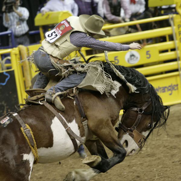 Scenes from Saturday night's action of the 50th anniversary of ...