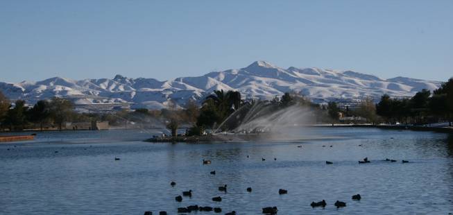 Ducks swim in the small lake near the fountain at Sunset Park Thursday afternoon after a Wednesday snowfall that blanketed much of the Las Vegas Valley. 