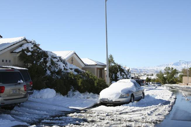 A snow-covered tree lays flattened in front of a home on Arpeggio Avenue near Tremolo Drive in Anthem Thursday afternoon due to the heavy snow storm in Henderson.