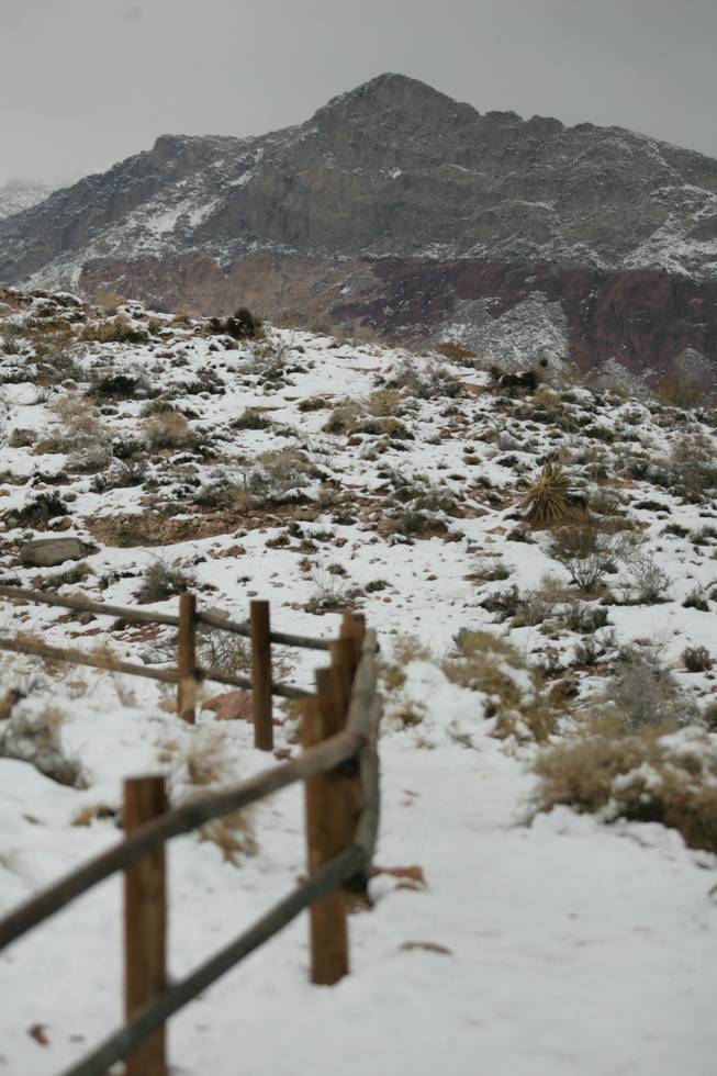 Remaining snow at Red Springs in Red Rock Canyon National Conservation Area Thursday.