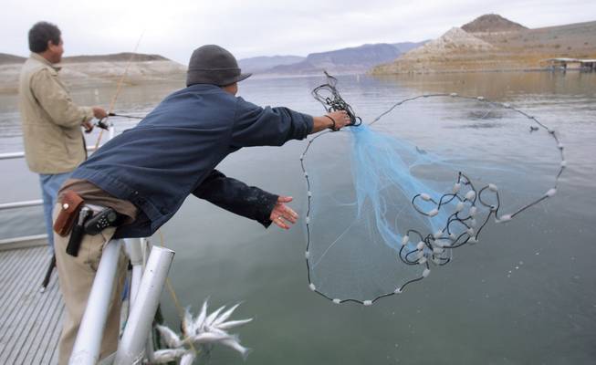 Roland Galera throws a net into the water at the Boulder Harbor dock. It is expected that the harbor will be available for boaters to fish in 2009.