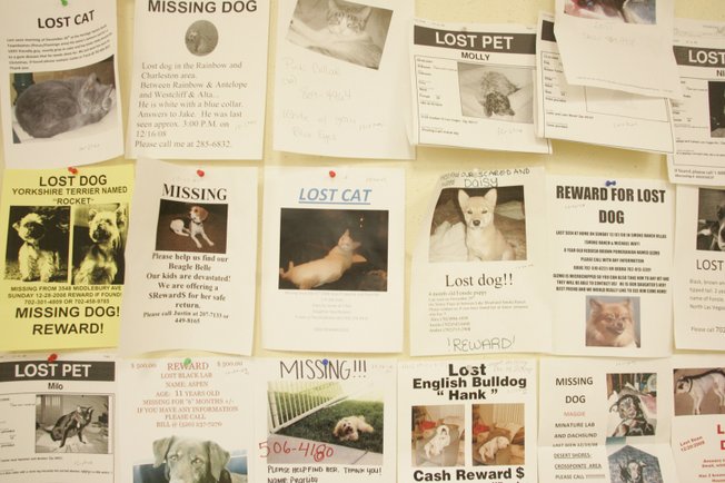 A wall at Lied Animal Shelter is covered Wednesday with missing-pet posters. In 2008, the shelter took in more than 50,000 animals.