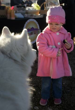 Paris Laurent, 2, keeps her muffin out of the reach of Samson, a Samoyed, during the Thursday ground-breaking ceremony at the future site of Amador Vista Park. The five-acre bicycle-themed park will feature a dog park as well as playground equipment.