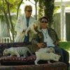 Siegfried and Roy pose for cameras with a litter of tiger cubs.