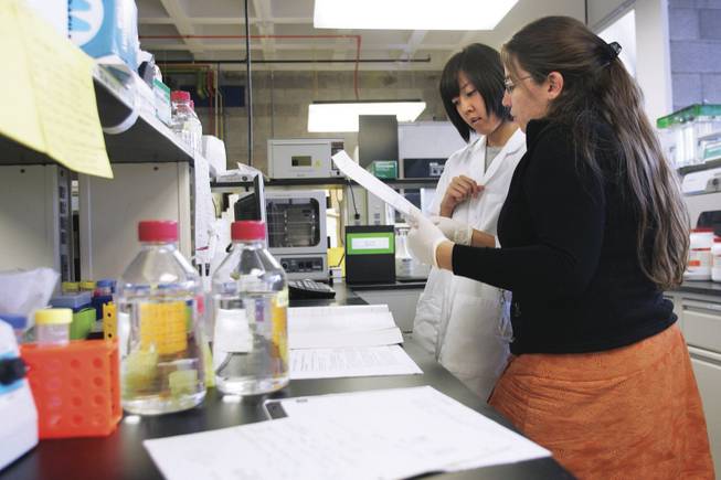 Undergrad assistant Anna Huh and post-doctoral scholar Jennifer Head discuss steps in an experiment in the UNLV genomics lab. Low per-student funding and stipends for graduate students are among obstacles to expanding research at UNLV.