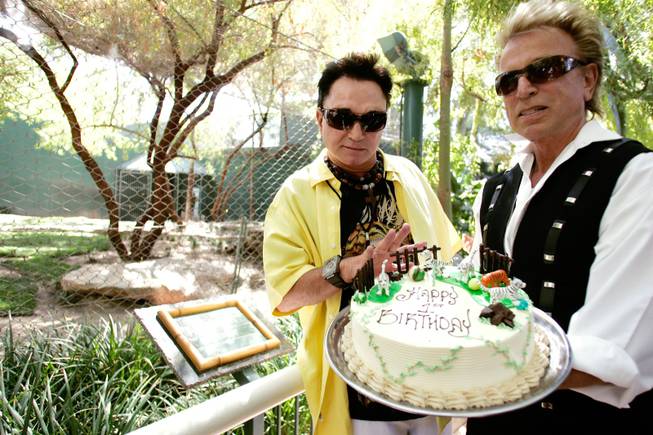 Siegfried Fischbacher, right, and Roy Horn present a birthday cake for their tiger cubs at Siegfried & Roy's Secret Garden at The Mirage.