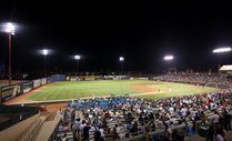 Firework Night at Cashman