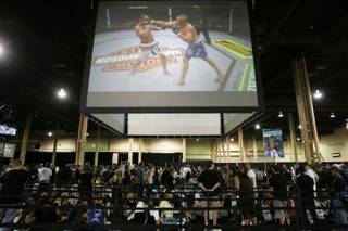 As past UFC battles play on a screen overhead, fans wait in line to get autographs at the UFC Fan Expo Friday. 