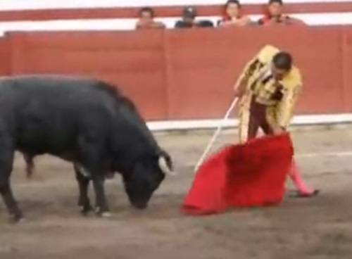 Eulalio "El Zotoluco" Lopez fights a bull in Mexico in 2008. 