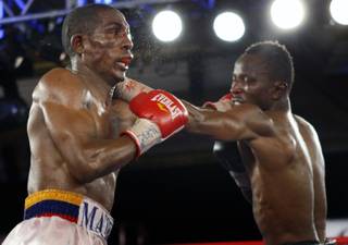 Yonnhy Perez (L) of Colombia IBF bantamweight champion trades punches with Joseph Agbeko of Ghana at the Treasure Island on Saturday. Perez won the title by unanimous decision.