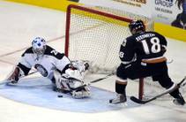 Wranglers shutout Grizzlies