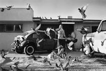 Photographs by Ken Lamug