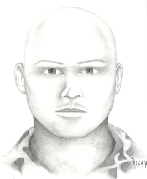 Suspect in attempted abduction case.
