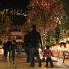 Hand-in-hand, families admire the thousands of twinkling lights while walking through the Magical Fo