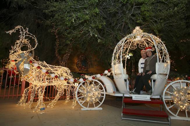 Gary and Mona Garberg pose for a photograph in a reindeer-drawn carriage Saturday night in the Magical Forest at Opportunity Village.