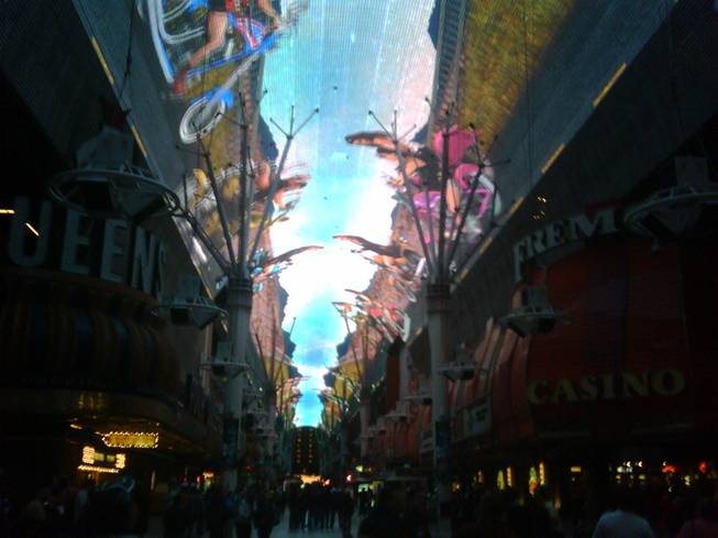 "Born to Be Wild" on the Fremont Street Experience.