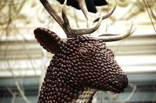 Reindeer made from pecans decorate the Bellagio Conservatory in Las Vegas Friday, Dec. 11, 2009. 