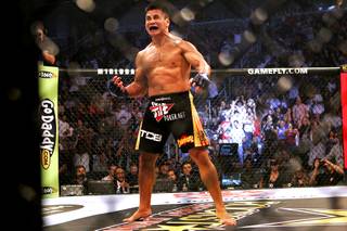 Cung Le celebrates his second round TKO of Scott Smith during their Strikeforce bout Saturday at the HP Pavillion in San Jose, Calif.