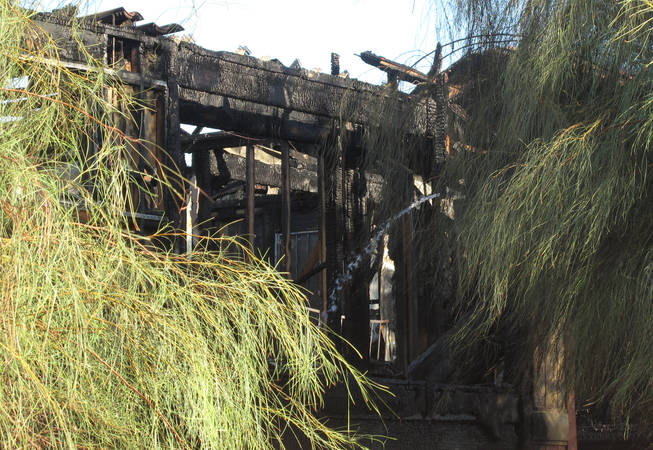 An apartment complex fire damaged 12 units and killed a cat Sunday at the Amber Ridge Apartments near Stewart Avenue and Nellis Boulevard.