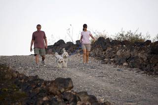 Al Leraaen and his wife Mary walk 18-month-old Labradoodles Chyula, left, and Kili on the Anthem East Trail in Henderson Tuesday, October 5, 2010. The City of Henderson, will be hosting a National Trails Day Celebration Saturday, Oct. 9. The free event will take place from 9 a.m. to 1 p.m. at the Promenade at the Pavilion, 200 S. Green Valley Parkway.