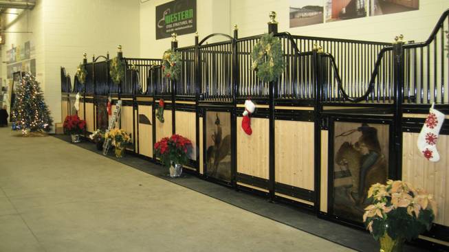 The "luxury suite" stalls at South Point Equestrian and Event Center. Suitable for prize horses, or even prize partiers who need a place to crash.