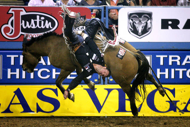 Bareback rider Clint Cannon hangs on to Joy Ride during the last night of the National Finals Rodeo on Saturday, Dec. 11, 2010, at the Thomas & Mack Center.