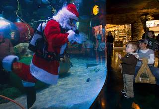 Bryson Drescher, 3, and his mother Jenny Drescher of Laughlin visit with an underwater Santa Claus swimming in a 117,000-gallon aquarium at the Silverton hotel-casino Sunday, December 19, 2010. Santa was equipped with a microphone so that he could communicate with the children.