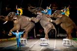The Great American Circus at The Orleans Arena