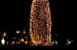 America's Tallest Christmas Tree @The M Resort