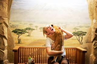 Trainer Katie Massey exclaims as an 8-week-old lion licks her ear at the Lion Habitat at MGM Grand in Las Vegas on Friday, June 17, 2011.